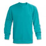 TRENDSWEAR Classic Unisex Sweatshirt