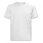 TRENDSWEAR Original Mens T-Shirt